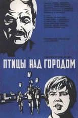 Poster de la película Birds Over the City