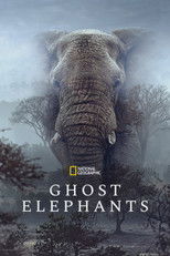 Poster de la película Ghost Elephants