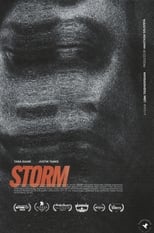 Poster de la película Storm