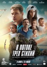 Poster de la película In the Flow of the Three Elements