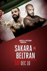 Poster de la película Bellator 168: Sakara vs Beltran