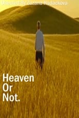 Poster de la película Heaven Or Not