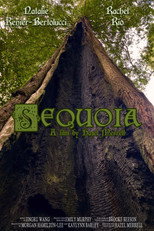 Poster de la película Sequoia