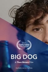 Poster de la película Big Dog