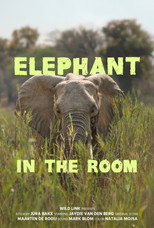 Poster de la película Elephant in the Room