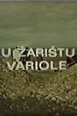 Poster de la película In the Hotspot of Variola