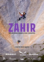 Poster de la película Zahir
