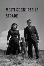Poster de la película Woman Trouble