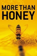 Poster de la película More Than Honey