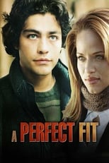 Poster de la película A Perfect Fit