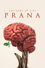 Poster de la película Patterns of life: Prana