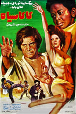 Poster de la película Negro