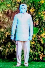 Poster de la película The Last Photograph