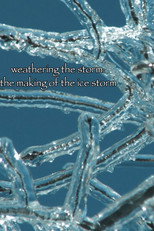 Poster de la película Weathering the Storm: The Making of The Ice Storm