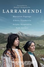 Poster de la película Larramendi