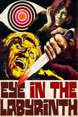 Poster de la película Eye in the Labyrinth