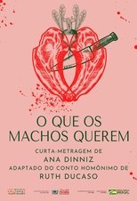 Poster de la película O Que os Machos Querem