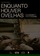 Poster de la película While There Are Sheep