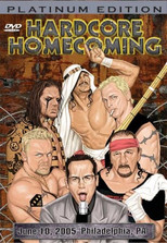Poster de la película Hardcore Homecoming