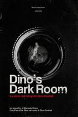 Poster de la película Dino's dark room