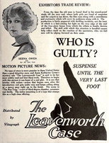 Poster de la película The Leavenworth Case