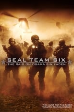 Poster de la película Seal Team Six: The Raid on Osama Bin Laden