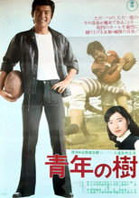 Poster de la película Tree of Youth