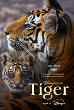 Poster de la película Tiger