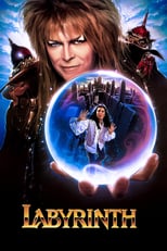 Poster de la película Labyrinth