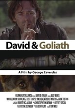 Poster de la película David and Goliath