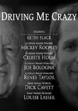 Poster de la película Driving Me Crazy