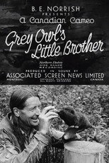 Poster de la película Grey Owl's Little Brother
