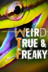 Poster de la serie Weird, True & Freaky