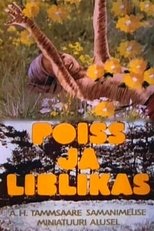 Poster de la película The Boy and the Butterfly