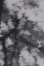 Poster de la película on breathing