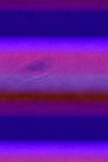 Poster de la película Microscope