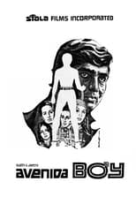 Poster de la película Avenida Boy