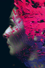 Poster de la película Steven Wilson: Hand. Cannot. Erase. Studio Documentary