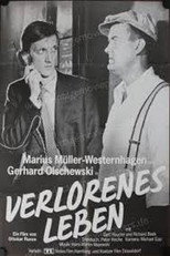 Poster de la película A Lost Life