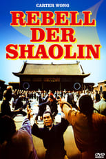 Poster de la película The Rebel of Shao-lin