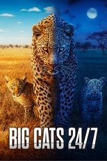 Poster de la serie Big Cats 24/7