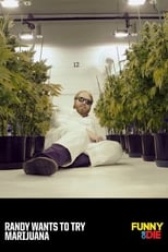 Poster de la película Randy Wants To Try Marijuana