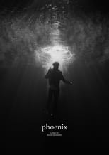 Poster de la película Phoenix