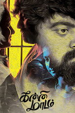 Poster de la película Kanni Maadam