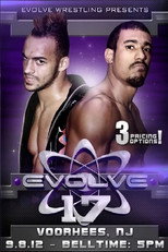 Poster de la película EVOLVE 17