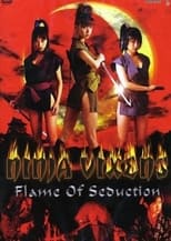 Poster de la película Ninja Vixens: Flame of Seduction
