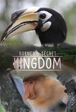 Poster de la serie Borneo's Secret Kingdom