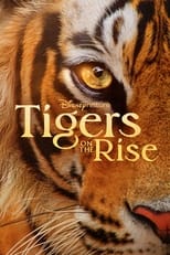 Poster de la película Tigers on the Rise