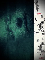 Three Wolves