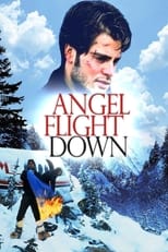 Poster de la película Angel Flight Down
